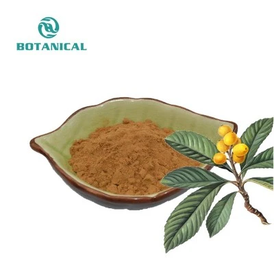 Loquat Leaf Extract by Botanical Cube Inc Loquat Leaf Extract by Botanical Cube Inc