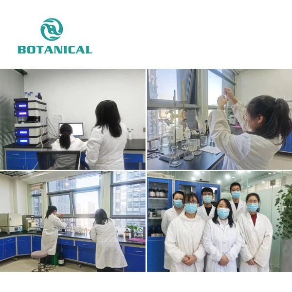 Valerian Root Extract Powder