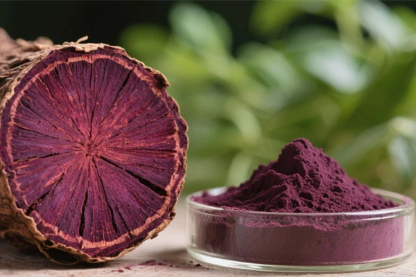 What is Gromwell root good for 2 What is Gromwell root good for 2